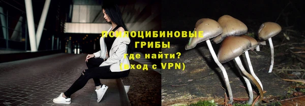 ГАЛЛЮЦИНОГЕННЫЕ ГРИБЫ Алексин