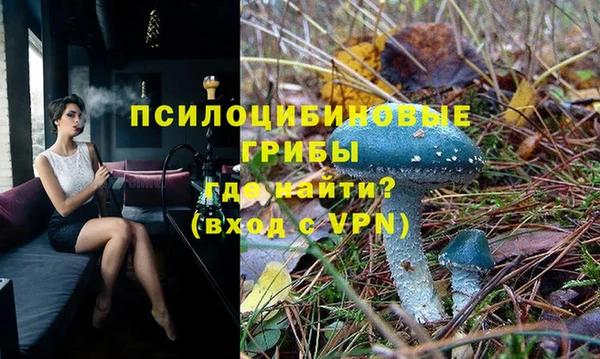 спиды Абдулино