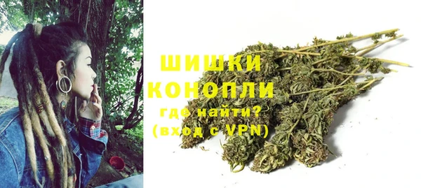 ГАЛЛЮЦИНОГЕННЫЕ ГРИБЫ Алексин