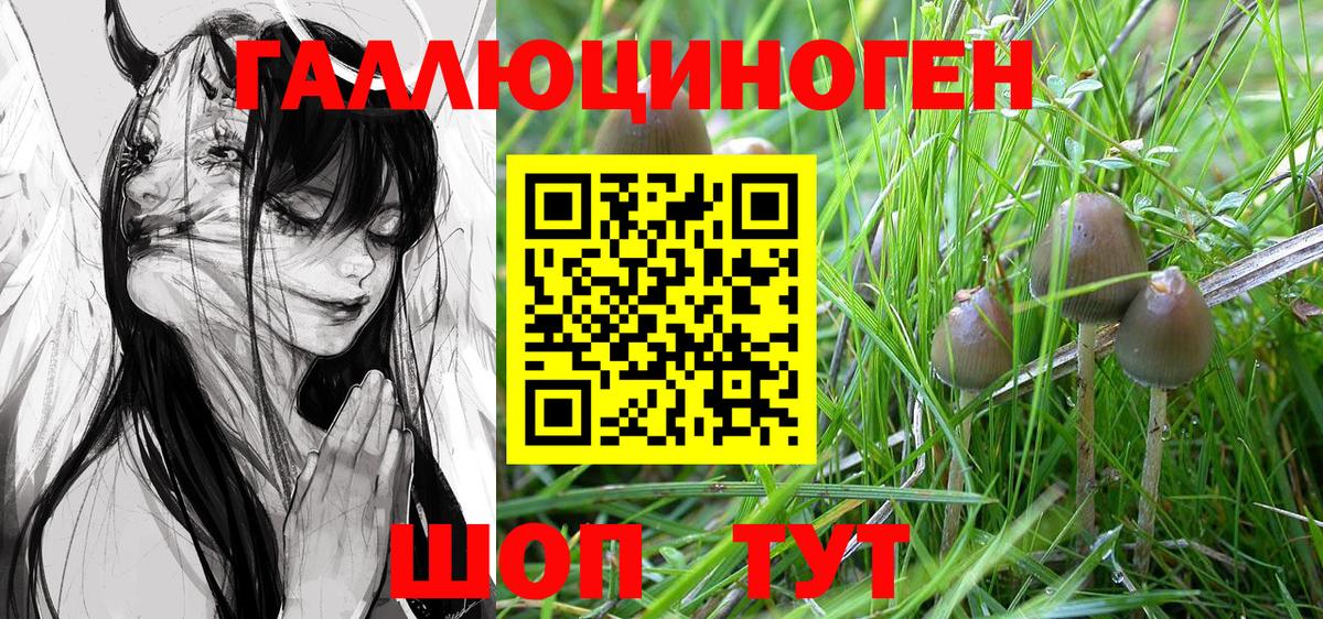 Котлас  Псилоцибиновые грибы GOLDEN TEACHER  Вход с VPN 
